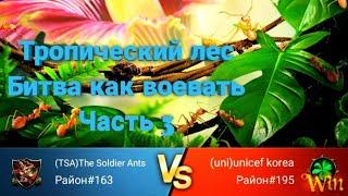 (3)The ants:Underground Kingdom Тропический лес Битва Rainforest Battle