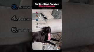 Ranking Best Random Meme Sounds