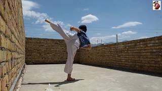 2nd step, line or form of International Dai Fu Martial Arts Federation