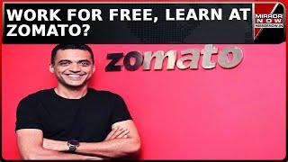 Zomato's Pay To Work Offer: CEO Offers Job; 'Pay 20 Lakh, Work Free For One Year?' | Latest News