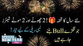 02 Special Blue chips & 02 Special Penny Stocks | Gift for our viewers | New Year Special 2025