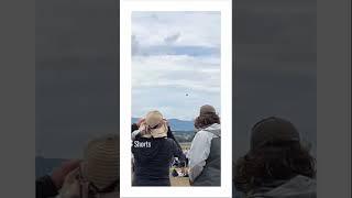 F35 at wings over the Illawarra.