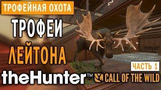 theHunter Call of the Wild #1  - Трофеи Лейтона (Часть 1) - Поместье Спринг-Крик