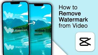 How To Remove Watermark From Video! [3 Easiest Methods]