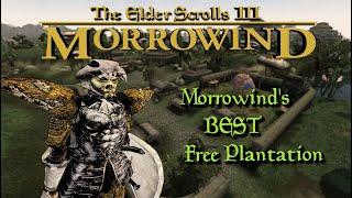 Taking over the Dren Plantation and toppling the Comonna Tong in The Elder Scrolls III: Morrowind