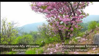 История имама Малика. Споры о религии. Абдуррахим Абу Ибрахим (Башпаев)