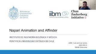Napari animation and affinder tutorial | Juan Nunez-Iglesias