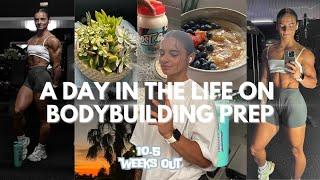 prep series: a day in the life on prep🪴