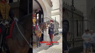 Beautiful horse still training #tourist #travel #highlight