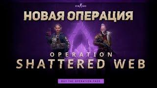 ВСЕ АНИМАЦИИ НОЖЕЙ ИЗ НОВОЙ ОПЕРАЦИИ CS:GO|SHATTERED WEB