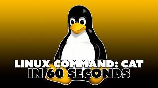 Linux Command: Cat | Alta3 Tech Minute