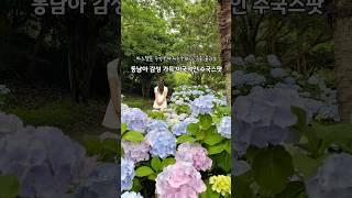 (실시간)파스텔톤 수국+바다 함께 볼 수 있는 곳🩵#통영 #통영여행 #통영수국 #수국 #수국명소 #통영이순신공원 #이순신공원