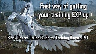 Get higher tier horses and higher training exp fast!