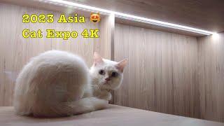 Asia Cat Expo 2023 (29 - 30 July) in 4K #cat #pet #singapore #expo