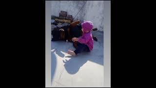 Lappu Janni@LappujhannKipaltan@Viral# Shaorts