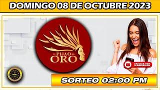 Resultado de EL PIJAO DE ORO del DOMINGO 08 de octubre del 2023 #chance #pijaodeoro