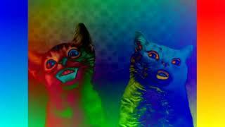 Preview 2 Numa cat effects in luig group^2