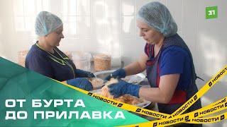 От бурта до прилавка. Челябинские фермеры рассказали, как поставляют продукцию в торговые сети