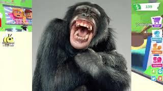 CEE-D ABUSIVE TO HIS PET IN ADOPT ME!!!!
