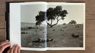 FERDINANDO SCIANNA   To Sleep, Perchance to Dream