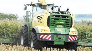 Krone Big X 1180 w/ 14-row header in the field chopping corn | World's Biggest Forage Harvester