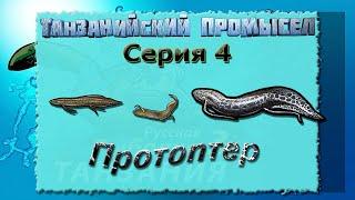 Русская Рыбалка 3.99 (Russian Fishing) Танзанийский промысел 4 - Протоптер