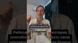 Рибозимы и РНК-мир на ЕГЭ 2024 #биология #егэ #егэ2024 #рибозимы #эволюция