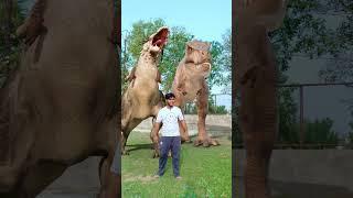 T-Rex Dinosaur Gets Kicked… Then New Dinosaurs Fall from the Sky #dinosaur #dinosaurs #jurassicworld