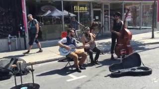 The Stompin' Trees - Live in Hochelaga