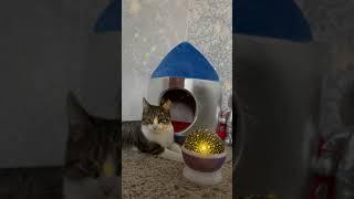 СЮРПРИЗ ДЛЯ МЯТЫ! ЕЙ ПОНРАВИТСЯ?