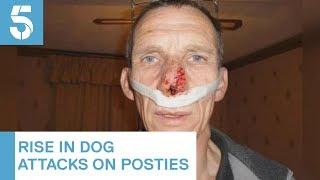 Royal Mail warns of increase in dog attacks on postal workers | 5 News