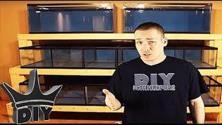 The King of DIY Aquarium Channel