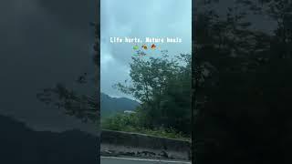 Life hurts, Nature heals