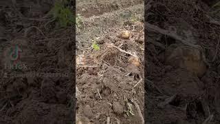 Мотор сич Рулит!!!!!