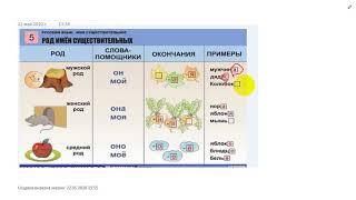 род существительных