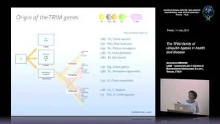 G. Meroni - The TRIM family of ubiquitin ligases in health and disease