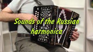 Magic harmonica sounds! Melodies that attract every heart - Sounds of the Russian harmonica