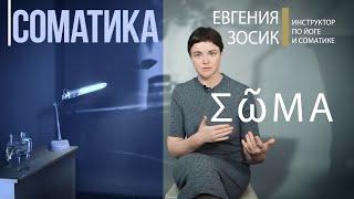 СОМАТИКА Томаса Ханны. Движение без боли. С чего начать работу со своим телом?