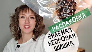 Вяленая кедровая шишка. Распаковка / Байкал / Иркутск