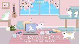 Study with Cats  Pomodoro Timer 50/10 | Relaxing lofi x Animation | Cherry blossom edition 