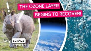 What’s the Future of the Earth’s Ozone Layer? | Twig Science Reporter