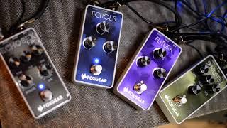 FOXGEAR delay shootout with BASS by Tim Lefebvre