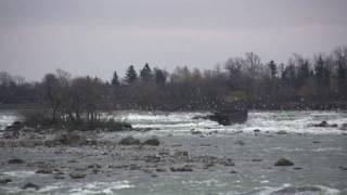 Niagara Falls