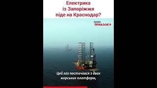 Где РФ может использовать украденное электричество из ЗАЭС – объяснила эксперт по ядерной энергетике