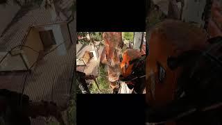 Разкривам тайната благодарение на кoято продължавам да работя  #stihl    #climbing  #husqvarna