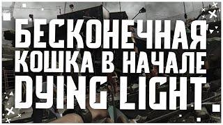 КАК ПОЛУЧИТЬ БЕСКОНЕЧНУЮ КОШКУ В НАЧАЛЕ ИГРЫ DYING LIGHT?