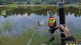 Atom Fishing 2.Карасиный пруд.Ловля карпа