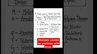 diseases caused by protozoa with trick #biologytricks #science #disease #youtubeshorts