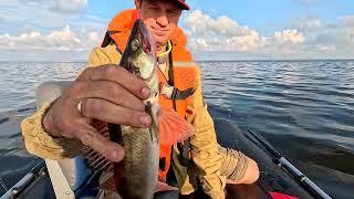 Рыбалка на Рыбинке в июле./Fishing at the Rybinsk reservoir in July