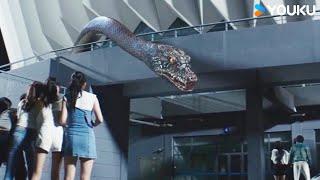 Man betrays beauty to snake for survival! | Rising Boas in a Girl's School | YOUKU MONSTER MOVIE